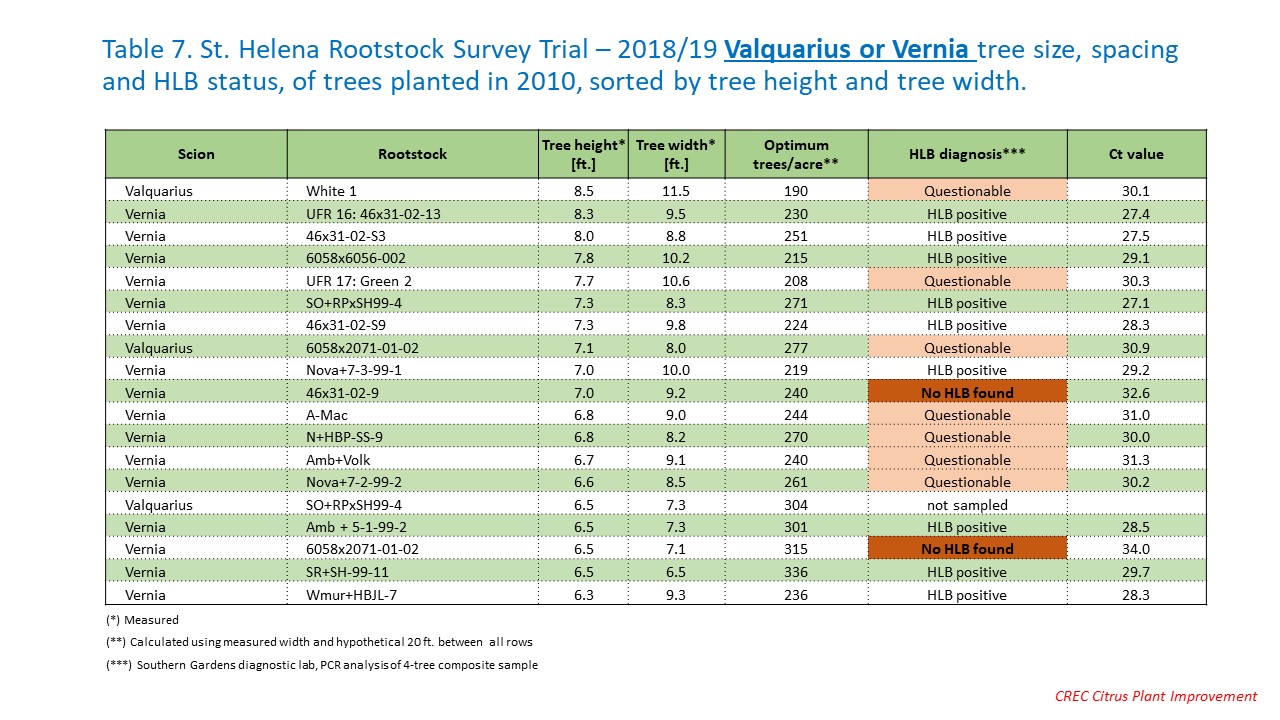 Table 7. St. Helena Rootstock Survey Trial – 2018/19 Valquarius or Vernia tree size, spacing and HLB status, of trees planted in 2010, sorted by tree height and tree width.
