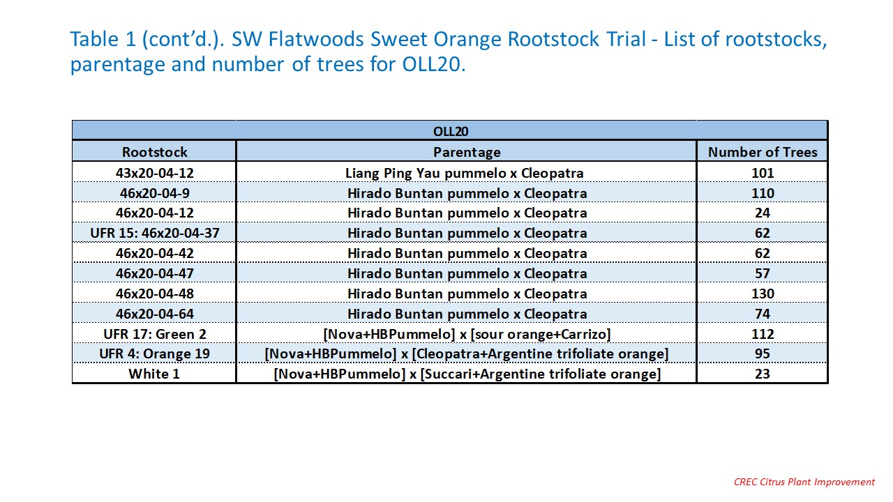 SW Flatwoods Sweet Orange Rootstock Trial