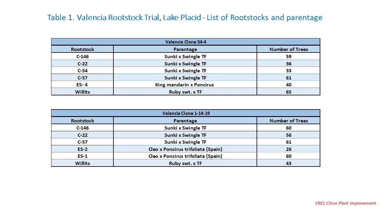 Table 1. Valencia Rootstock Trial, Lake Placid - List of Rootstocks and parentage