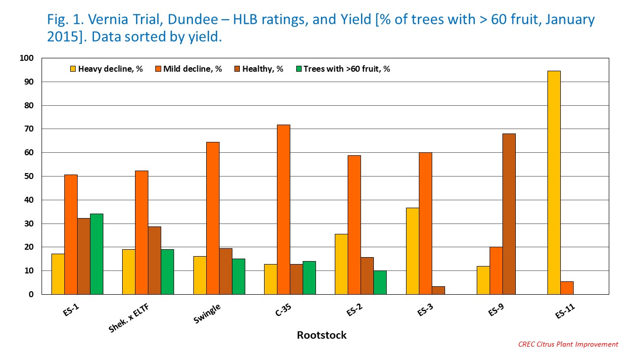 Fig. 1. Vernia Trial, Dundee – HLB ratings, and Yield [% of trees with  60 fruit, January 2015]. Data sorted by yield.