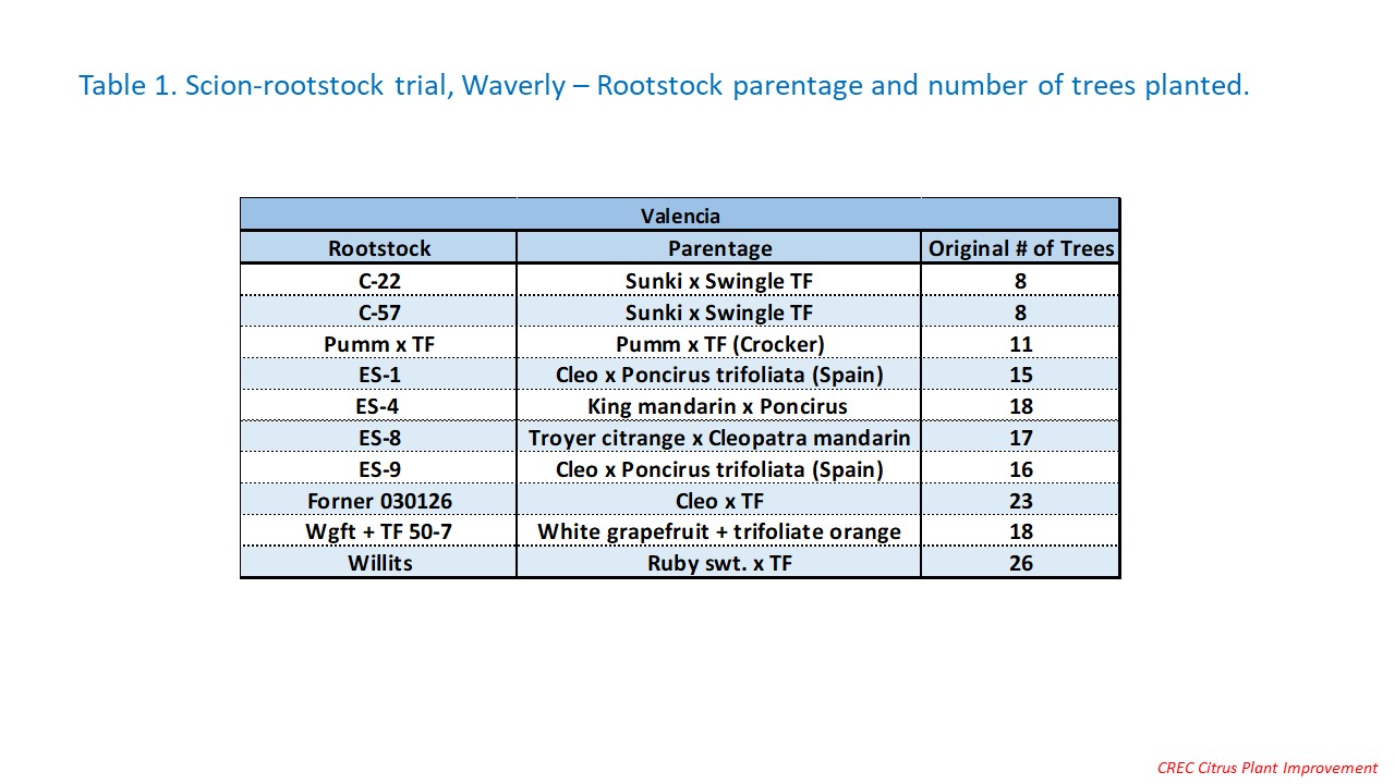 Table 1. Scion-rootstock trial, Waverly – Rootstock parentage and number of trees planted.