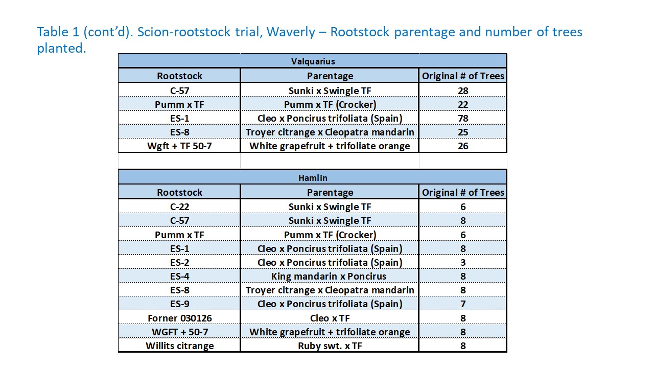 Table 1 (cont’d). Scion-rootstock trial, Waverly – Rootstock parentage and number of trees planted.