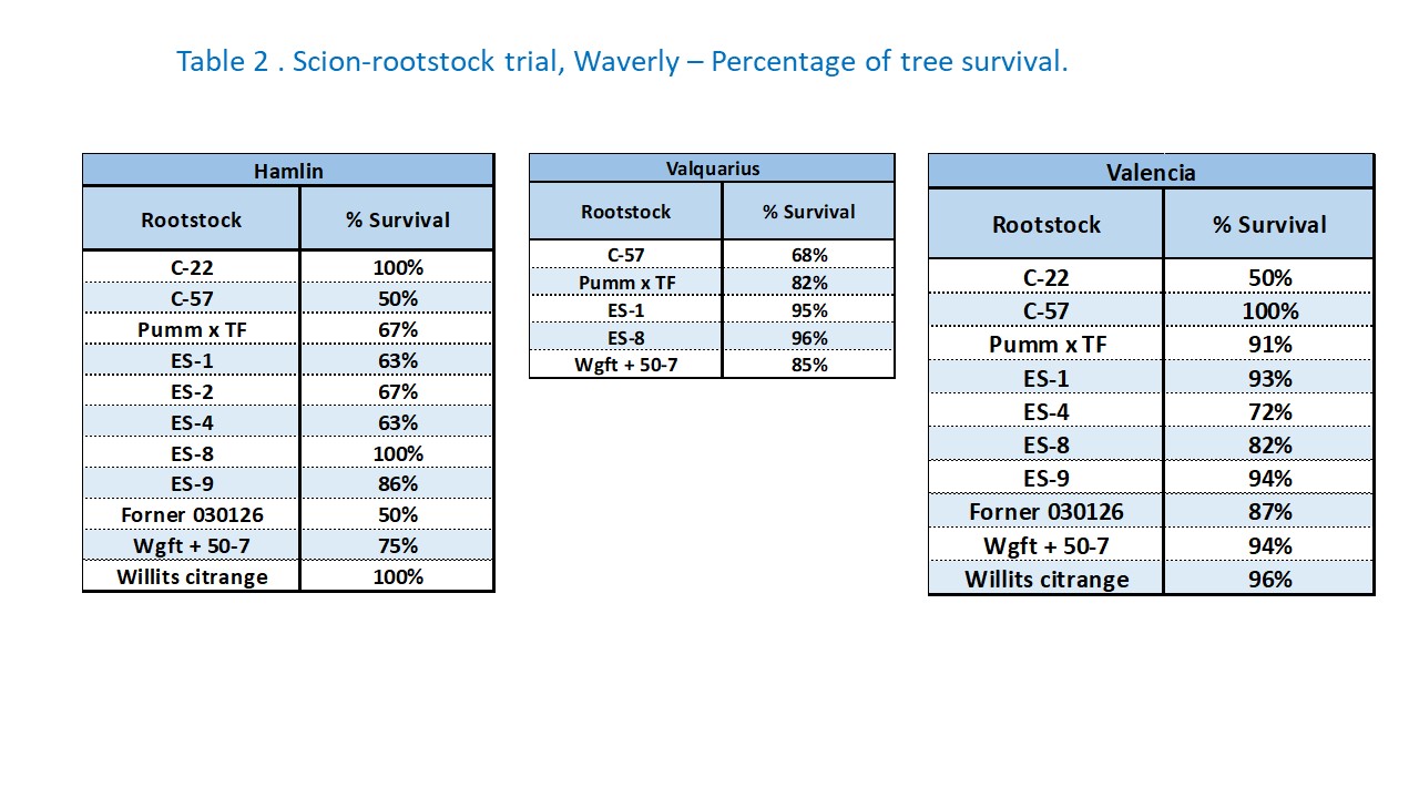 Table 2 . Scion-rootstock trial, Waverly – Percentage of tree survival.