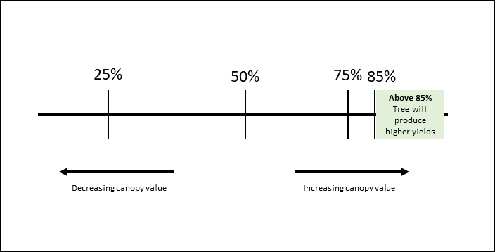 Diagram Canopy