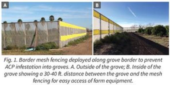 Artificial border fencing