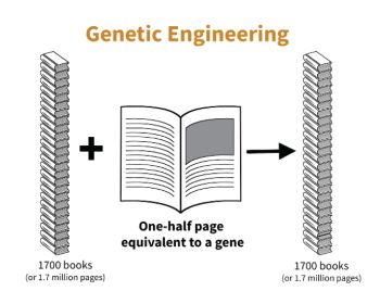 showing book with information being added to it