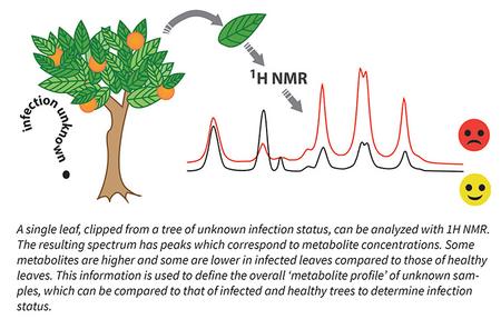 graphic of tree with gas chromatograph printout