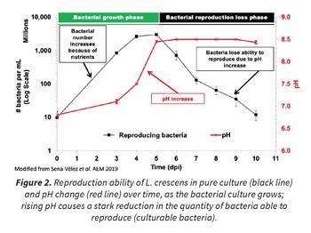 line graph of bacterial growth in the presence of L. crescence