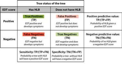 probability table of true positives vs. false HLB positives