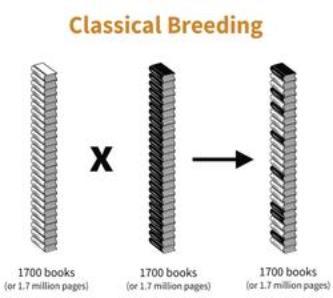 stacks of books being combined into a greater variety of books