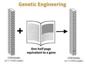 stacks of books with DNA information