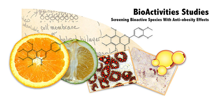 bioactivity studies