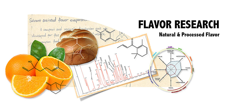 flavor research