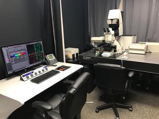 Confocal Microscope