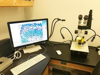 NightSea Stereomicroscope Adaptor