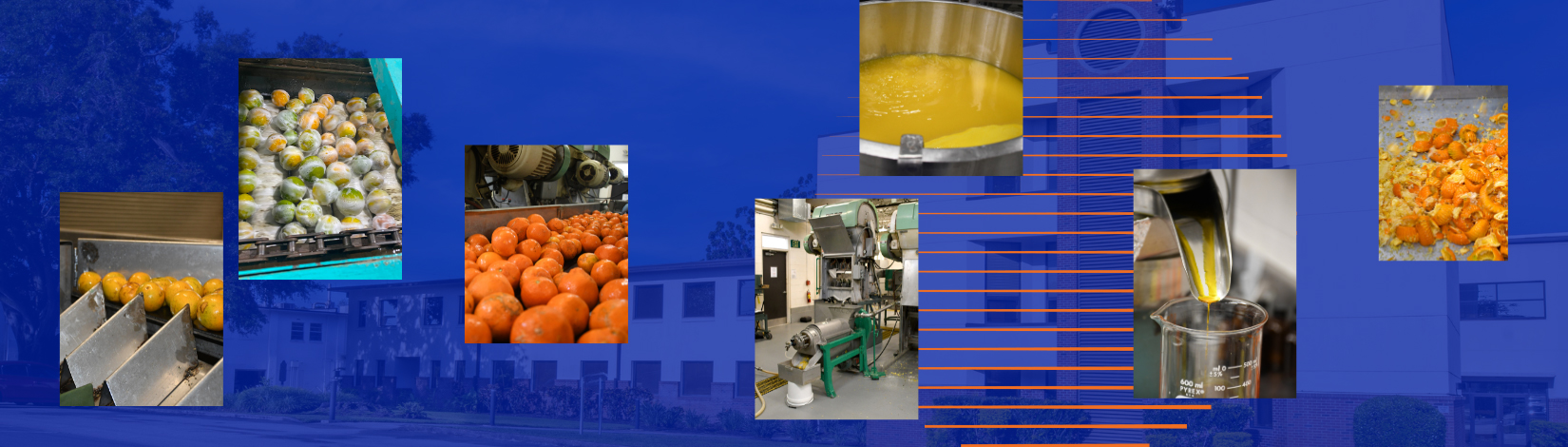 Processing & Packinghouse - Banner